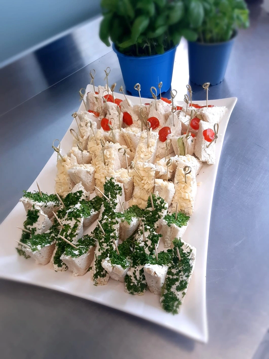 Drei Reihen Frischkäse-Finger-Sandwiches mit Kräutern und halbierten Kirschtomaten, im Hintergrund Basilikumtöpfe